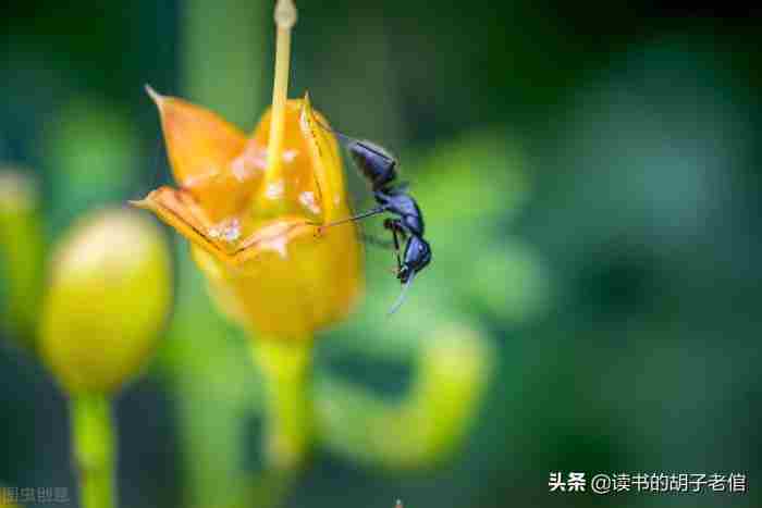 大龄剩女都是什么心理（大龄剩女们都是怎么想的）