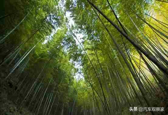 情人节去哪玩 情人节带爱人去哪里玩才不会乏味