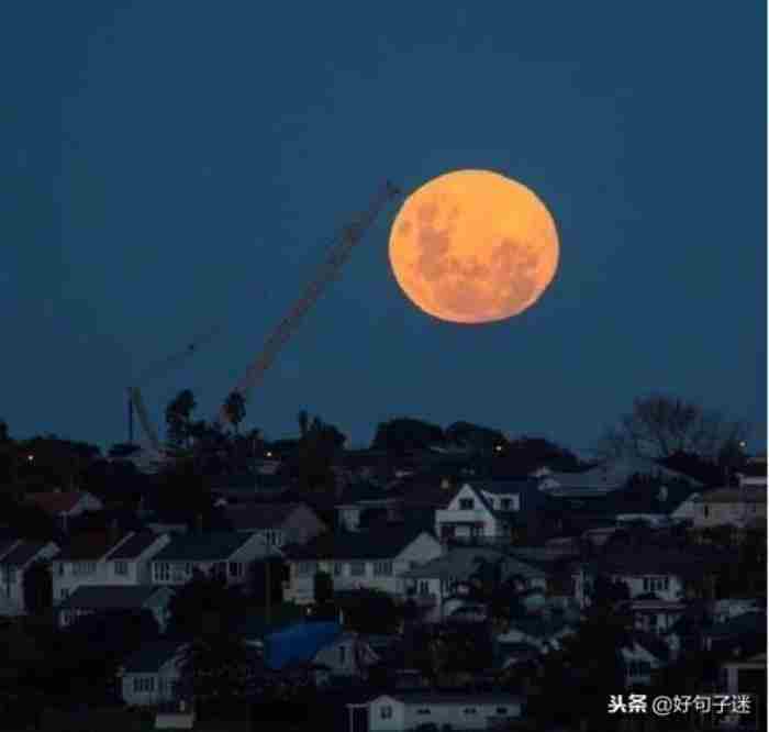 夜深人静的心情句子（夜深人静心情感悟的经典说说）