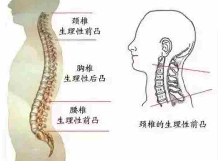 新生儿什么时候用枕头（宝宝多大可以用枕头）