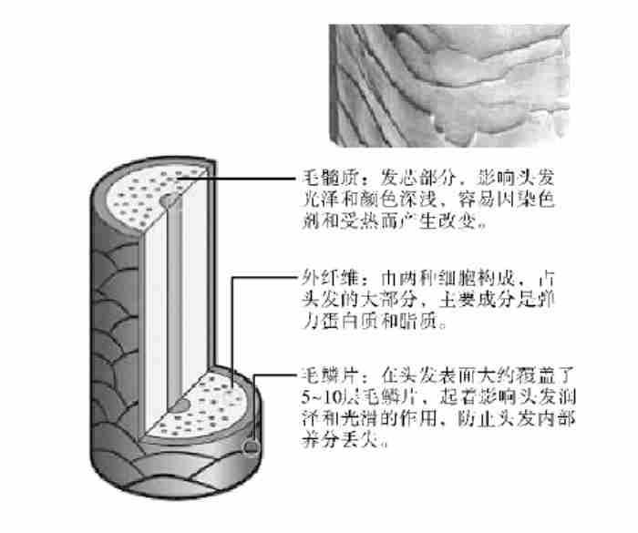 烟花烫和锡纸烫的区别（锡纸烫烟花烫离子烫）