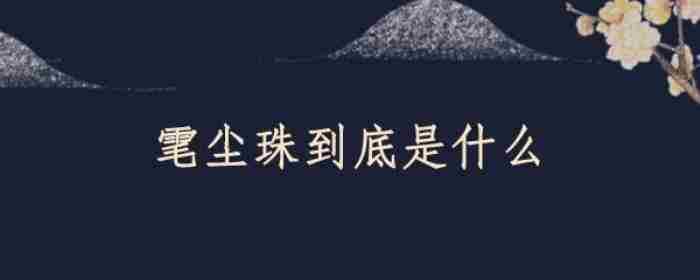 雮尘珠到底是什么（在我国历史上雮尘珠真的存在吗）