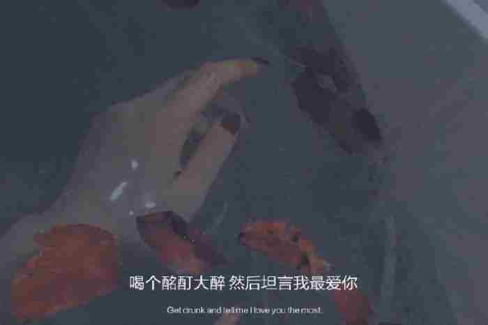 分手后女人一定要忍住不联系，忍住不联系你就赢了