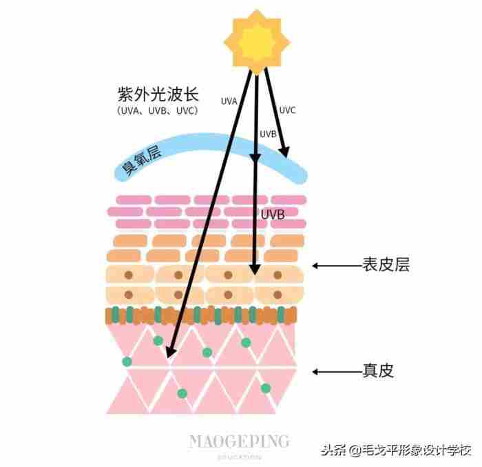 正确的化妆先后顺序（这才是化妆的正确顺序）