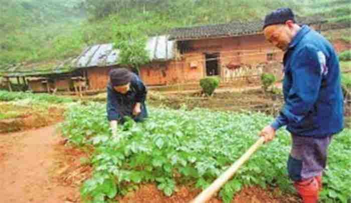 中国的十大爱情故事 十大真实感人爱情故事