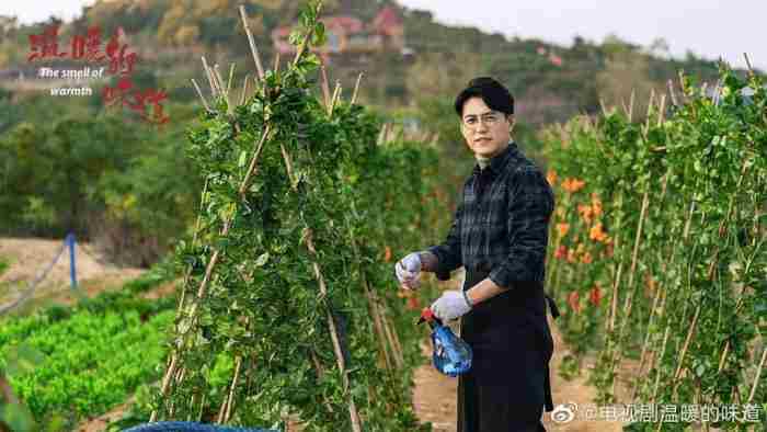 东北农村题材电视剧(东北农村题材电视剧大全排名)