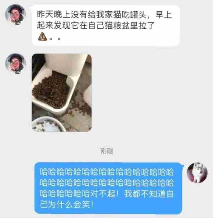 37张幽默诙谐有趣的图片 早上好心情图片搞笑