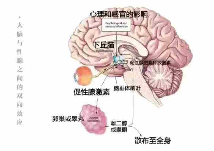 恋爱男生都想睡女友吗 男生恋爱后都会变污吗