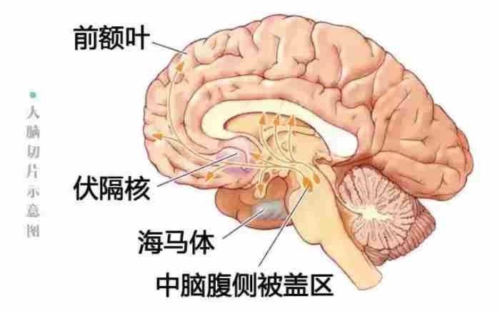 恋爱男生都想睡女友吗 男生恋爱后都会变污吗