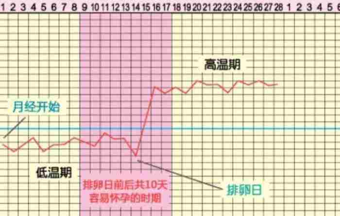 备孕一直怀不上?这些常识你一定要知道!